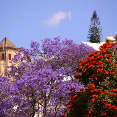 Antananarivo – Antsirabe (170 km)