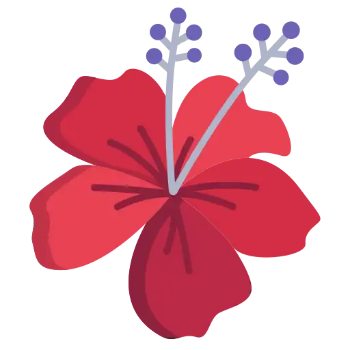 hibiscus
