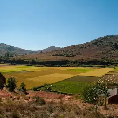mikadago-countryside-387672_640